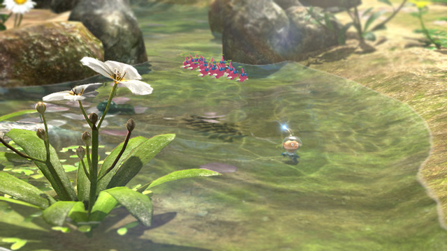 【Nintendo Direct】Wii U『ピクミン3』の国内発売日が7月13日に決定！