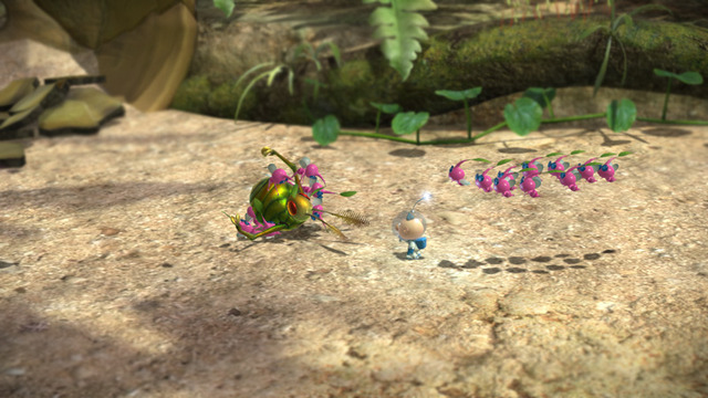 【Nintendo Direct】Wii U『ピクミン3』の国内発売日が7月13日に決定！