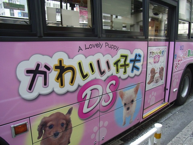 『かわいい仔犬DS』のかわいいラッピングバスが運行中