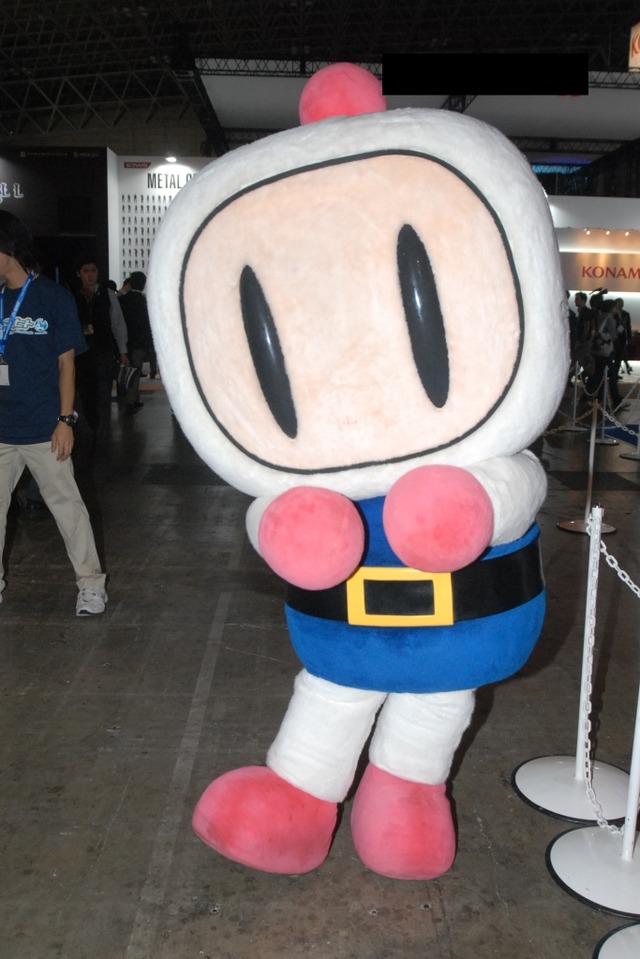 【TGS2008】コンパニオンレポート: ハドソン