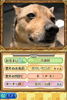 ゲームにあなたの愛犬が登場！？〜『スヌーピーの愛犬DS』、ペットの写真を募集