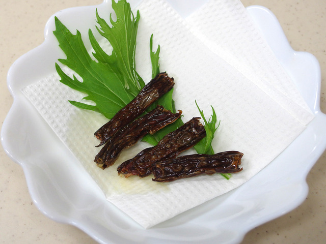 【特集】九州のエイリアンが東京に出現…焼いて、煮て、揚げて食べてみた