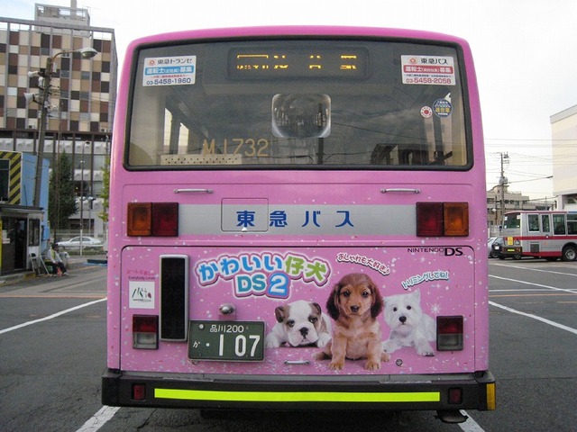 かわいい仔犬DS2