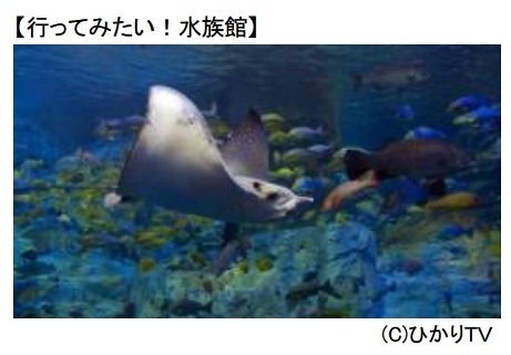 「行ってみたい!水族館」