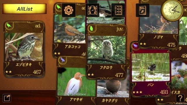 動く野鳥図鑑アプリ『動く 野鳥コレクション』リリース！これで今日から野鳥博士？