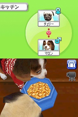 カジュアルシリーズ2980 Petz Dogz ドッグズ