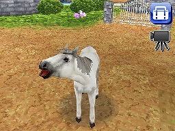 カジュアルシリーズ2980 Petz Horsez ホースズ