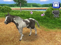 カジュアルシリーズ2980 Petz Horsez ホースズ