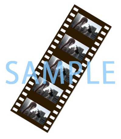 『STEINS;GATE ELITE』「完全受注生産限定版」が発売決定－各初回特典には本編映像特製フィルムを追加！