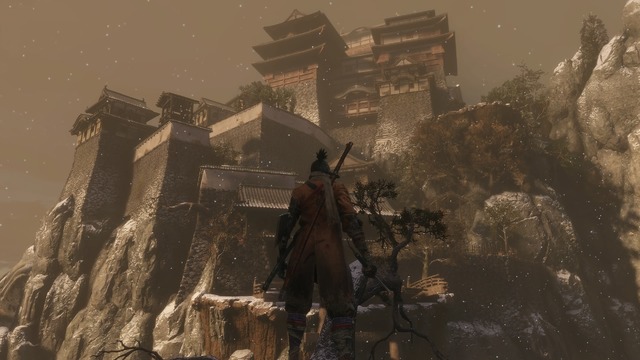 葦名城の背面は断崖であり、そう簡単には忍びこむことはできない。