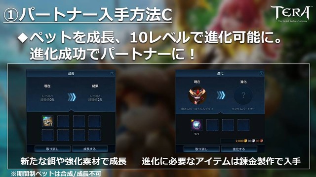 『TERA』新要素「パートナー」の情報公開―様々なスキルでプレイヤーを助ける相棒的存在！【生放送まとめ】