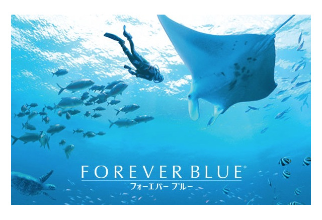 Wii 発売10周年 名作 Forever Blue に思いを馳せる インサイド