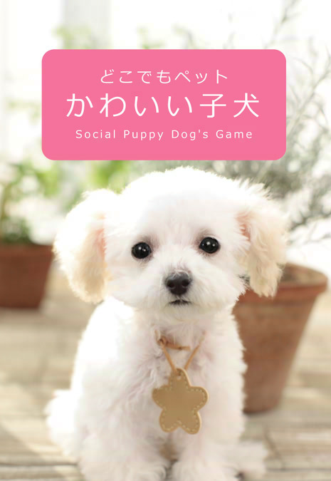 子犬と一緒に暮らすソーシャルペットゲーム どこでもペット かわいい子犬 1枚目の写真 画像 インサイド
