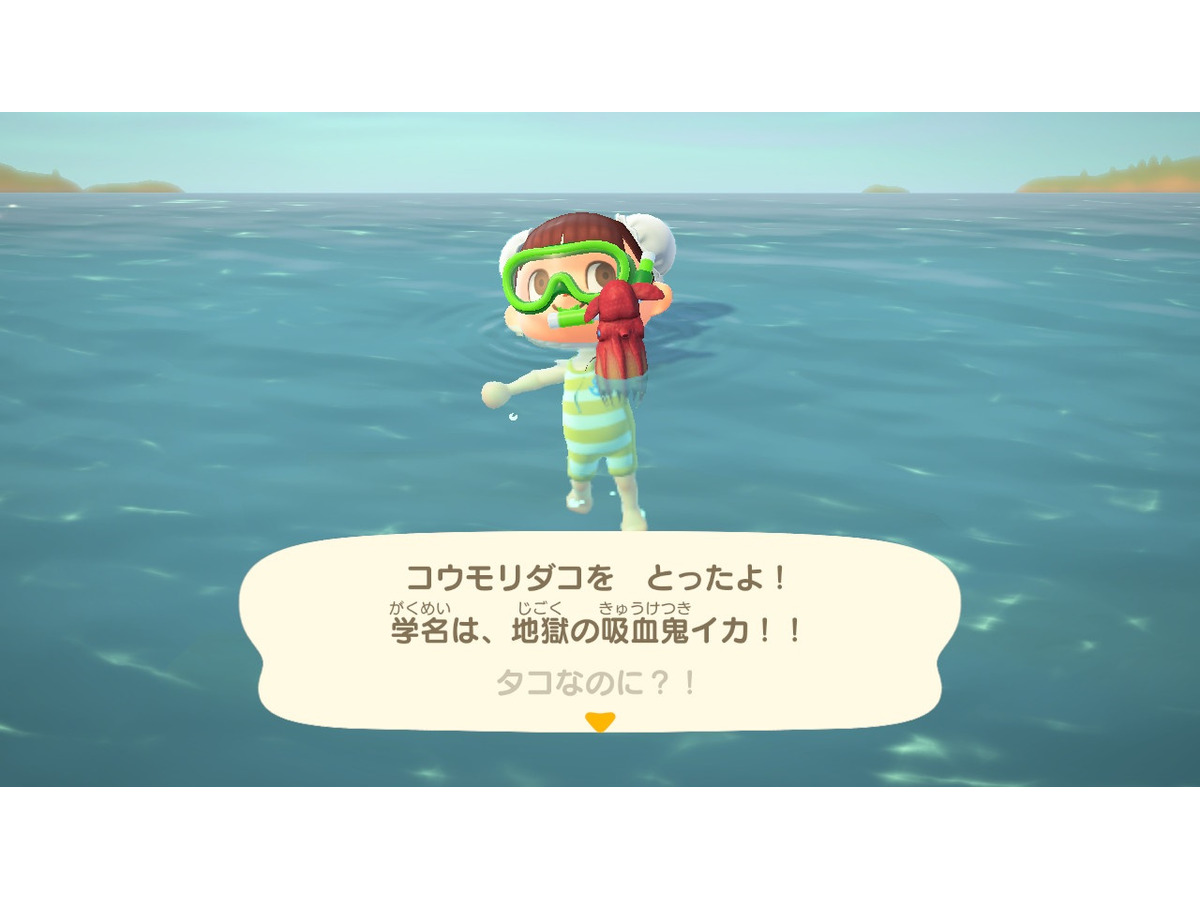 あつまれ どうぶつの森 気分は海女さん 素潜り80回分の 海の幸 でいくら稼げるか試してみた インサイド