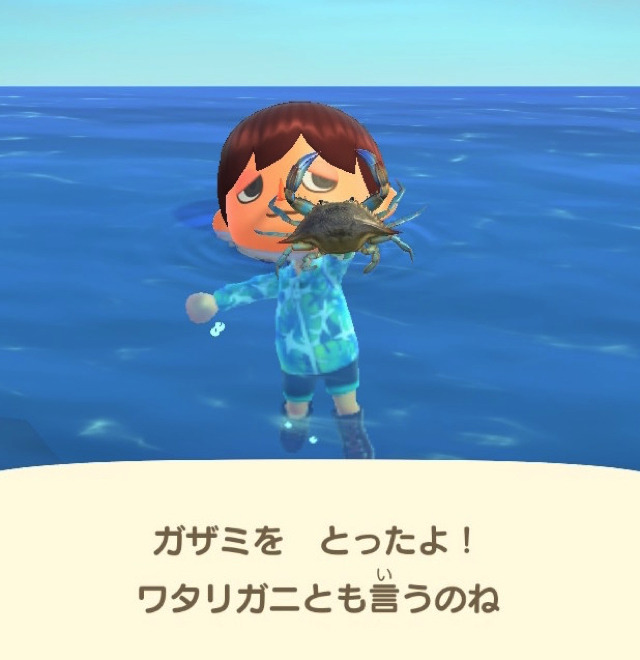 変な名前だがウマい！『あつまれ どうぶつの森』に登場する「ガザミ