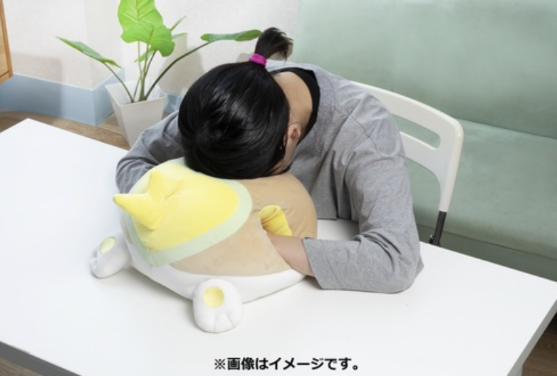 ワンパチ」のおしりに顔をうずめる幸せ！もっちりしたお昼寝