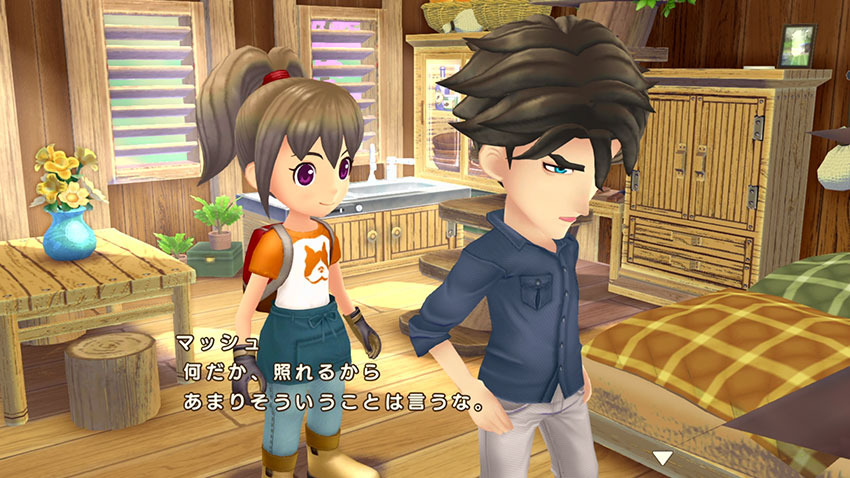 牧場物語　ワンダフルライフ　ゲームキューブソフト ゲームキューブ「牧場物語 ワンダフルライフ」 - メルカリ