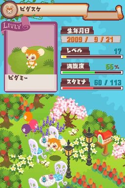 ニンテンドーDS - 【育成シリーズ】ルーンファクトリー　リヴリーガーデン　ひつじ村DS まとめ売り ニンテンドーDS - 【育成シリーズ】ルーンファクトリー リヴリー