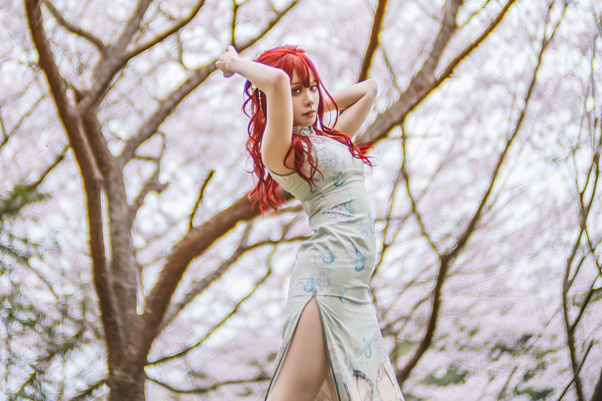 人はなぜ、チャイナドレスに魅了されるのか―長崎美女と桜ポトレ撮影を