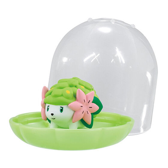 1583701.jpg?zoom=spacing