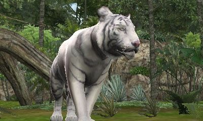 アニマルリゾート』が東武動物公園とコラボ ― 人気ホワイト