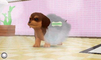 3DS『かわいい仔犬3D』、子犬たちが自分の部屋に遊びに
