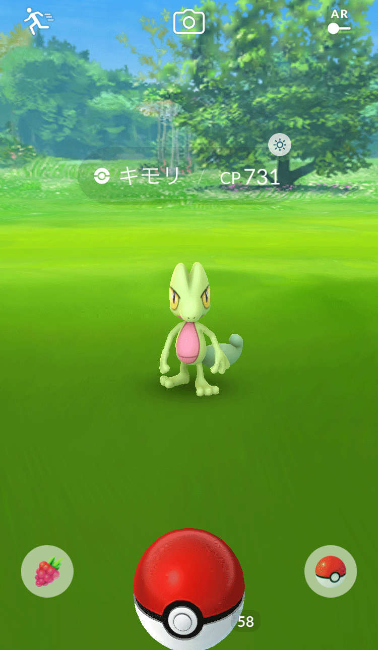 ポケモンGO』にキモリ、アチャモ、ミズゴロウが！ ホウエン地方
