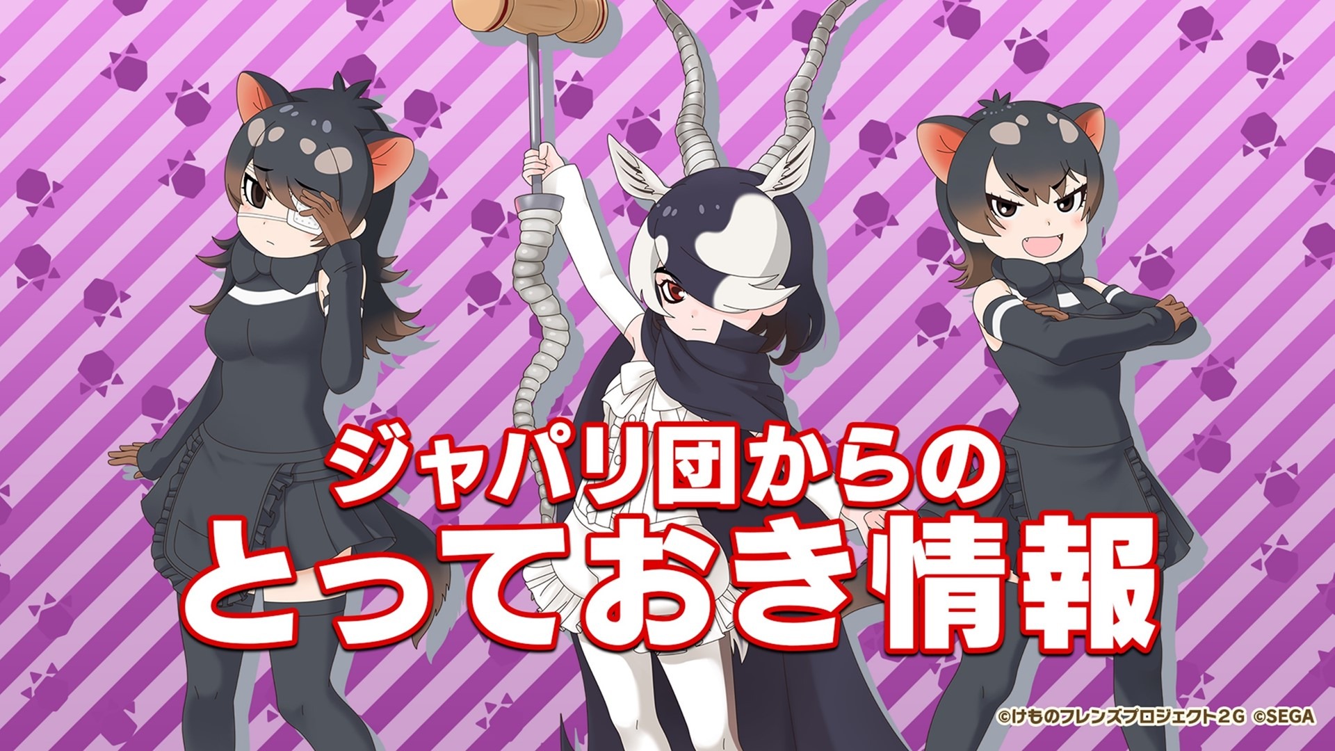 けものフレンズ3』「わくわく探検レポート #4.0」公式生放送