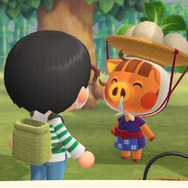 『あつまれ どうぶつの森』“カブ”であなたも億万長者!? 儲かる・便利・意外な使い道のあるカブ取引をはじめよう