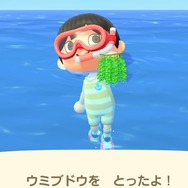 『あつまれ どうぶつの森』ダイビングをさらに楽しむ小ネタ10選! コツを覚えれば飛び込み方も操作できる