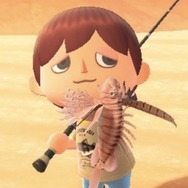 綺麗な魚には毒がある!『あつまれ どうぶつの森』で釣れる「ミノカサゴ」ってこんな魚【平坂寛の『あつ森』博物誌】
