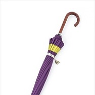 (C)空知英秋／集英社・テレビ東京・電通・BNP・アニプレックス