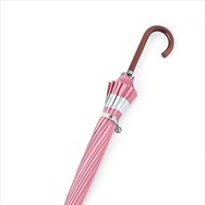 (C)空知英秋／集英社・テレビ東京・電通・BNP・アニプレックス