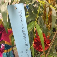 「傷物語」秋葉原で七夕イベント　神谷浩史、坂本真綾、花澤香菜らが願ったこととは？