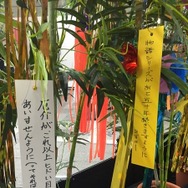 「傷物語」秋葉原で七夕イベント　神谷浩史、坂本真綾、花澤香菜らが願ったこととは？