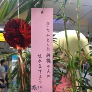 「傷物語」秋葉原で七夕イベント　神谷浩史、坂本真綾、花澤香菜らが願ったこととは？