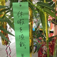 「傷物語」秋葉原で七夕イベント　神谷浩史、坂本真綾、花澤香菜らが願ったこととは？