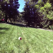 【ポケモンGO】実際に投げてゲット！モンスターボール型ガジェットが登場