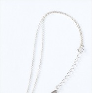 (C)高橋和希 スタジオ・ダイス/集英社・テレビ東京・NAS