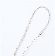 (C)高橋和希 スタジオ・ダイス/集英社・テレビ東京・NAS