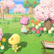 『あつまれ どうぶつの森』島の名前アイデア50選!命名に迷っている人は要チェック