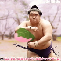 日本相撲協会の「桜餅キャッチゲーム」が話題に！リプライ欄が“桜餅を抱きしめる力士”で埋め尽くされる
