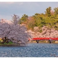 青森県弘前市のふるさと納税に、弘前公園「春陽橋」の古材を活用したスマホスタンドが登場！50台限定で生産