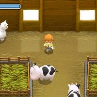 牧場物語 ふたごの村