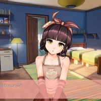 「もう二度と胸の小さなキャラは作らない」キャラが未成年と見做され、SteamからゲームをBANされた開発元の嘆き