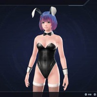 (C)Nintendo / MONOLITHSOFT