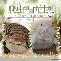 リアルで可愛い「一番くじ 爬虫類＆両生類」第2弾の全ラインナップ公開！ラストワン賞はペロッと舌を出したアオジタトカゲ