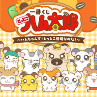 「とっとこハム太郎」新作一番くじの全ラインナップ公開！こうしくん、リボンちゃんたち5人のぬいぐるみや、皆でお昼寝するティッシュケースが可愛い