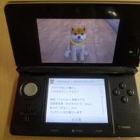 『nintendogs + cats』安座間美優さんの柴犬「きなこ」が配信開始