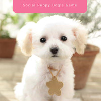 子犬と一緒に暮らすソーシャルペットゲーム『どこでもペット かわいい子犬』 